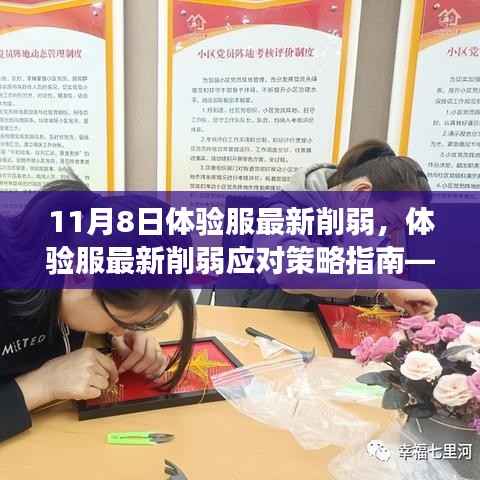 体验服最新削弱应对策略指南,初学者与进阶用户视角(适用于11月8日更新)