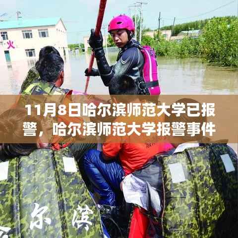哈尔滨师范大学报警事件,背后的真相与是非探讨