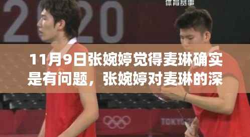 张婉婷深度解析麦琳产品,特性、用户体验与目标用户群体探讨