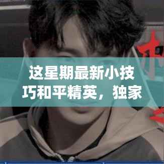 独家揭秘,和平精英最新小技巧,成为战场主宰秘籍!