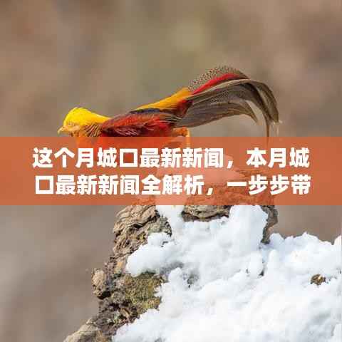 本月城口最新新闻解析,掌握获取新闻资讯的技能