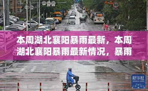 湖北襄阳本周暴雨最新情况,影响、应对措施全解析