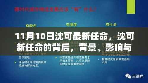 沈可新任命的背后,背景、影响与时代地位分析(最新更新)