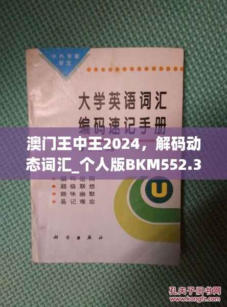 澳门王中王2024,解码动态词汇_个人版BKM552.33指南