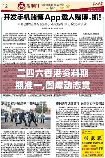 二四六香港资料期期准一,图库动态赏析_金丹QJM173.82