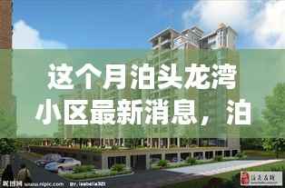 泊头龙湾小区本月新鲜事，邻里温情与欢乐日常