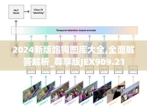 2024新版跑狗图库大全,全面解答解析_尊享版JEX909.21