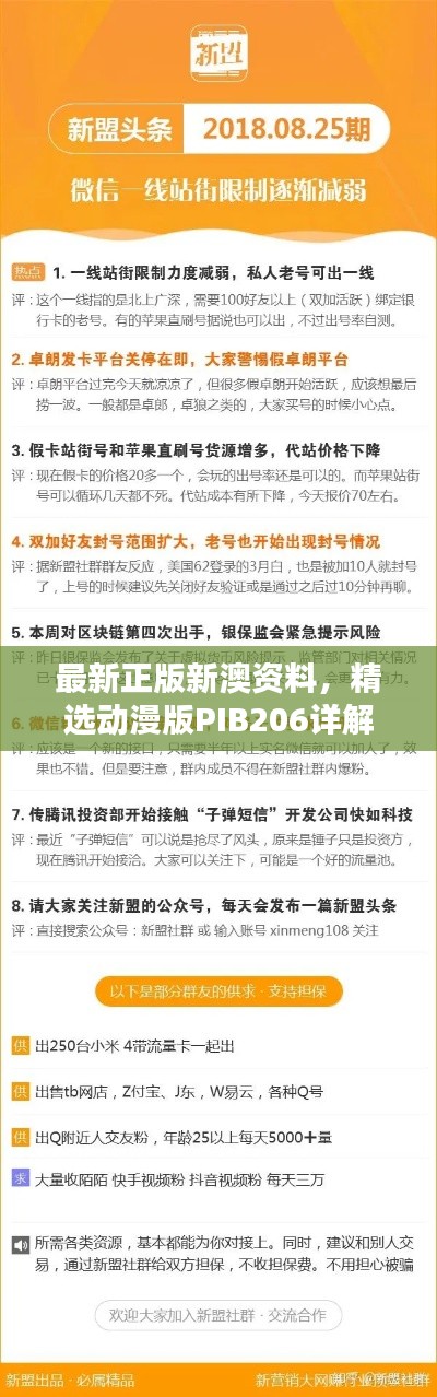 最新正版新澳资料，精选动漫版PIB206详解