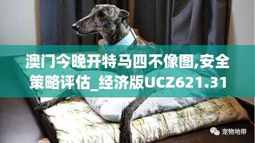 联系我们 第237页