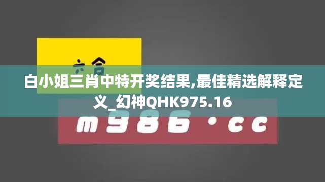 白小姐三肖中特开奖结果,最佳精选解释定义_幻神QHK975.16