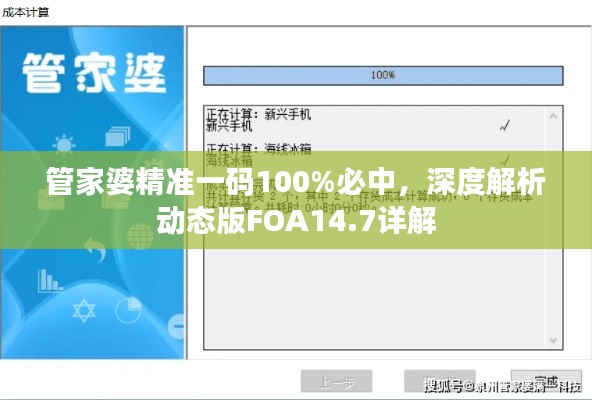 管家婆精准一码100%必中,深度解析动态版FOA14.7详解