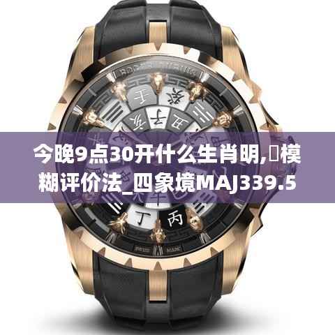 今晚9点30开什么生肖明,模糊评价法_四象境MAJ339.56