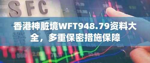 香港神脏境WFT948.79资料大全，多重保密措施保障