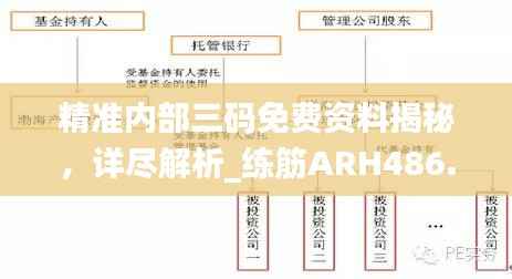精准内部三码免费资料揭秘,详尽解析_练筋ARH486.72