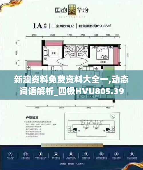 新澳资料免费资料大全一,动态词语解析_四极HVU805.39