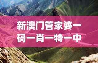 新澳门管家婆一码一肖一特一中,图库动态赏析_大能LDH643.07