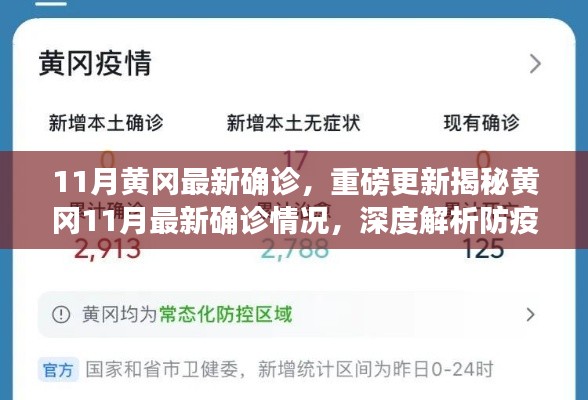 揭秘黄冈11月最新确诊情况,深度解析防疫现状,重要信息一览无余