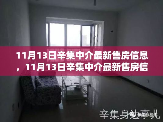 11月13日辛集中介最新售房信息全面解析与评测