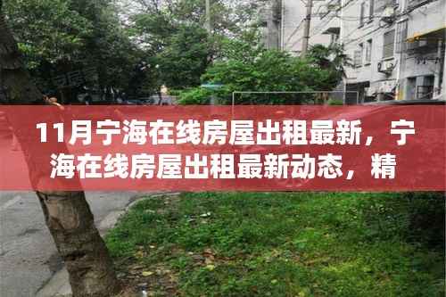 宁海在线房屋出租最新动态,精选房源等你来挑!