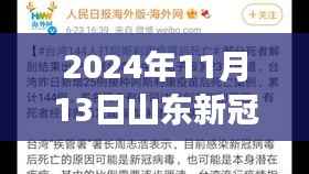 山东新冠疫情最新报告，多维视角下的深度分析（2024年11月13日）
