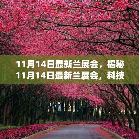 揭秘最新兰展会,科技革新引领未来生活风采展盛大开幕
