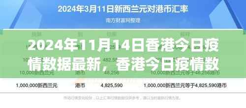2024年11月14日香港疫情数据报告,最新分析与观察思考