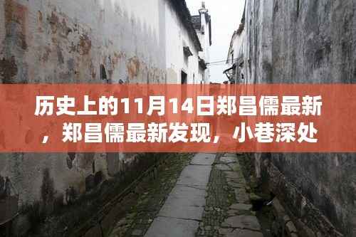 郑昌儒最新发现，小巷深处的独特风味——一家隐藏的历史宝藏小店的揭秘之旅