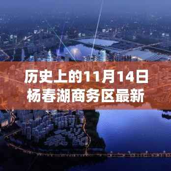 历史上的11月14日杨春湖商务区揭秘,深度解读最新发展及消息