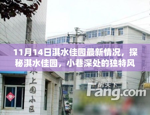 探秘淇水佳园,小巷深处的独特风情——最新探访报告(11月14日)