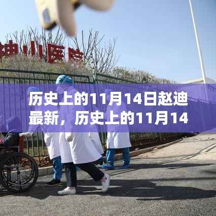 历史上的11月14日与赵迪,观点分析