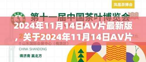 关于涉黄问题，理性看待与正确引导探讨的探讨