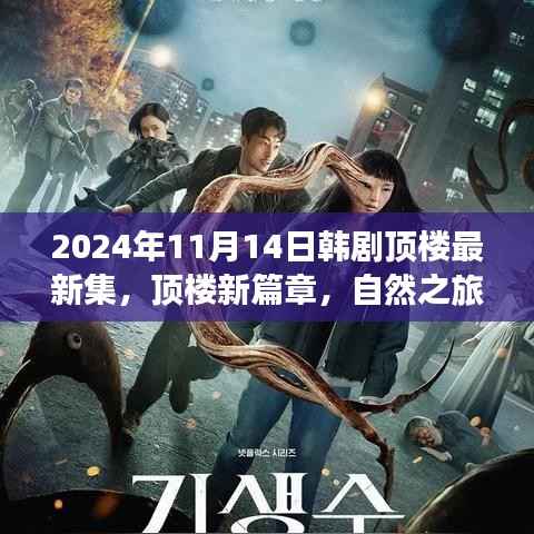 韩剧顶楼新篇章,自然之旅的心灵觉醒,启程于2024年11月14日