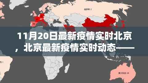 北京疫情最新动态，11月20日报告及关键要点解析