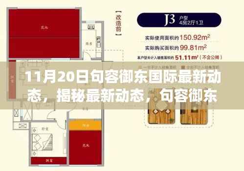 句容御东国际11月20日最新进展报告,揭秘行动中的新动态
