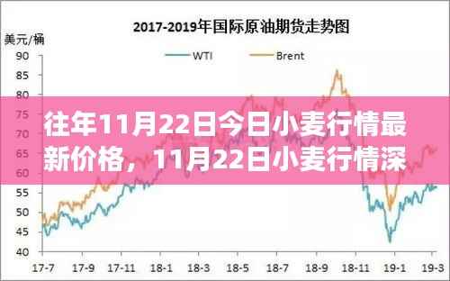 11月22日小麦行情深度解析,最新价格与市场影响力回顾