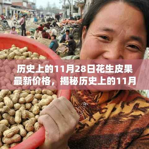 全方位解析,历史上的11月28日花生皮果最新价格获取与解读步骤指南