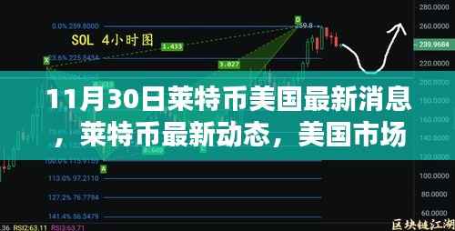 莱特币美国最新动态分析，市场趋势下的正反观点探讨（11月30日）