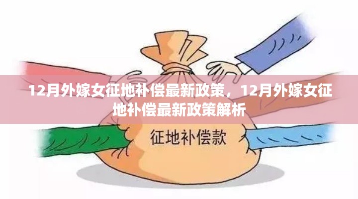 最新解读,12月外嫁女征地补偿政策详解
