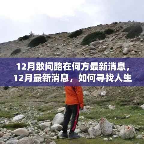 12月最新消息,寻找人生方向之路的步步为赢指南