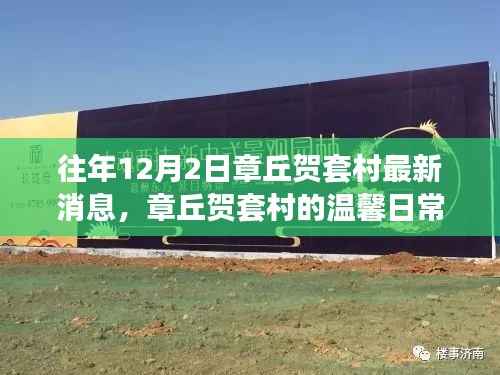 章丘贺套村12月2日最新动态，温馨日常的崭新篇章