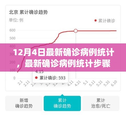 12月4日最新确诊病例统计详解,从初学者到进阶用户的实用指南