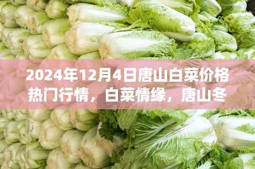 唐山白菜情缘,冬日蔬菜市场的温情故事与白菜价格行情解析