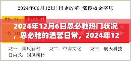 思必驰温馨日常,揭秘2024年12月6日的奇妙时光