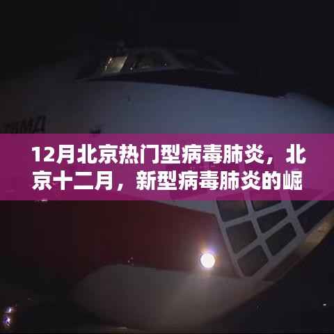 北京十二月,新型病毒肺炎的崛起与影响回顾