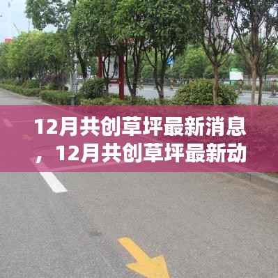 12月共创草坪动态更新与关注要点解析