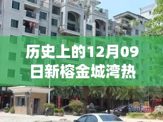 揭秘榕金城湾宝藏小店与历史房价之旅,热门房产回顾与巷弄探索