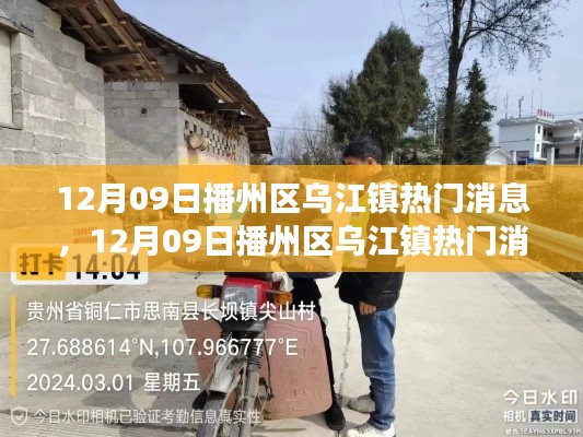 播州区乌江镇热门消息解析,我的观点与洞察