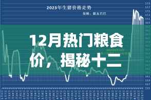 揭秘十二月粮食市场走势,热门粮食价格动态与小红书带你洞悉市场新动态