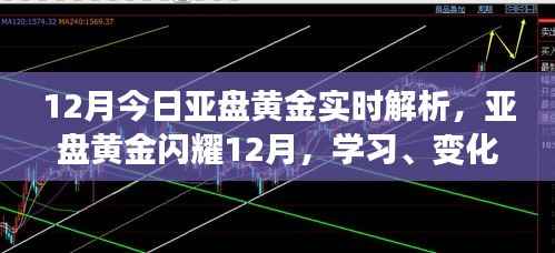 亚盘黄金闪耀12月,实时解析与策略布局,把握今日共创辉煌