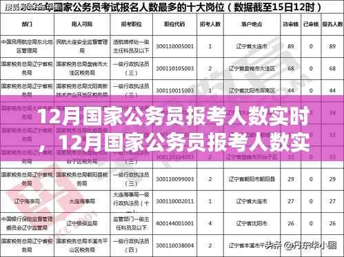 12月国家公务员报考人数实时分析与趋势探讨，数据、策略一览